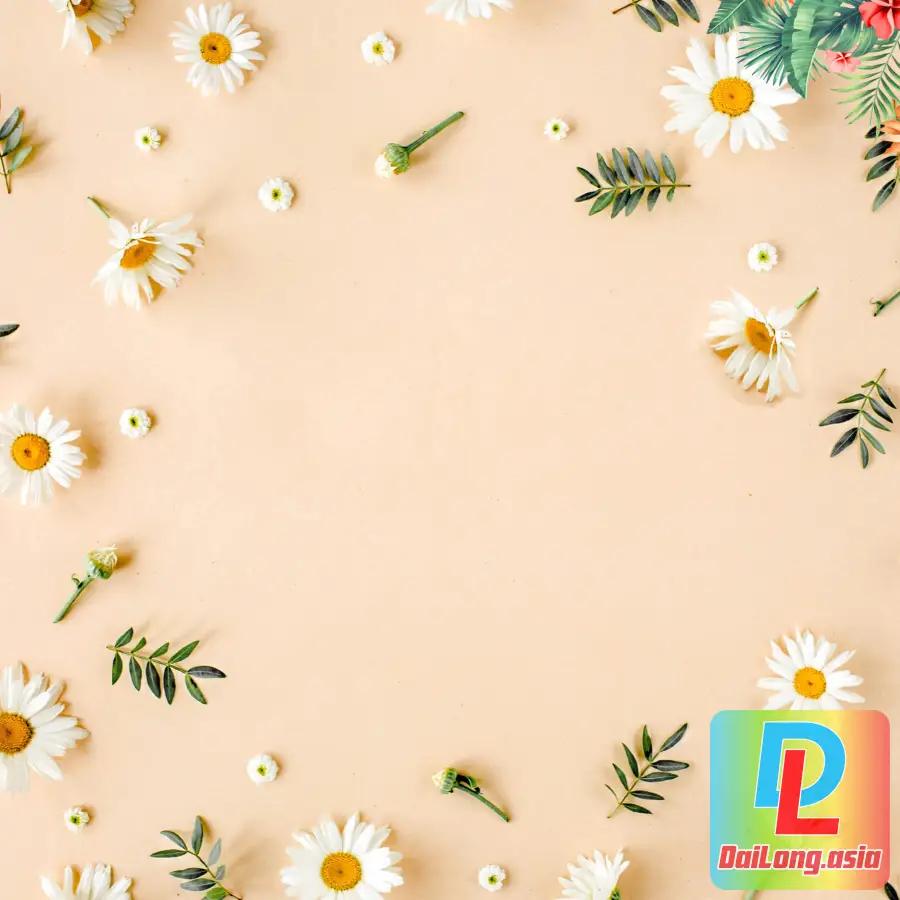 Background Ảnh Nền Vàng Nhạt Hoa Flower - Light Yellow Background Photo with many White Chrysanthemums