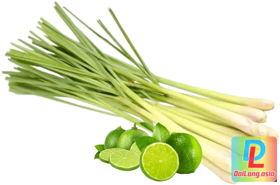 Bó Cây Quả Chanh Sả - Bunch of Lemongrass Fruit Trees PNG Sắc Nét - High Quality