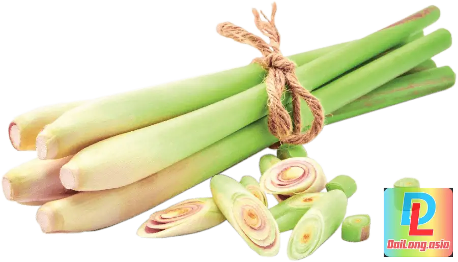 Bó Sả Tươi 2 PNG - Bunch of Fresh Lemongrass