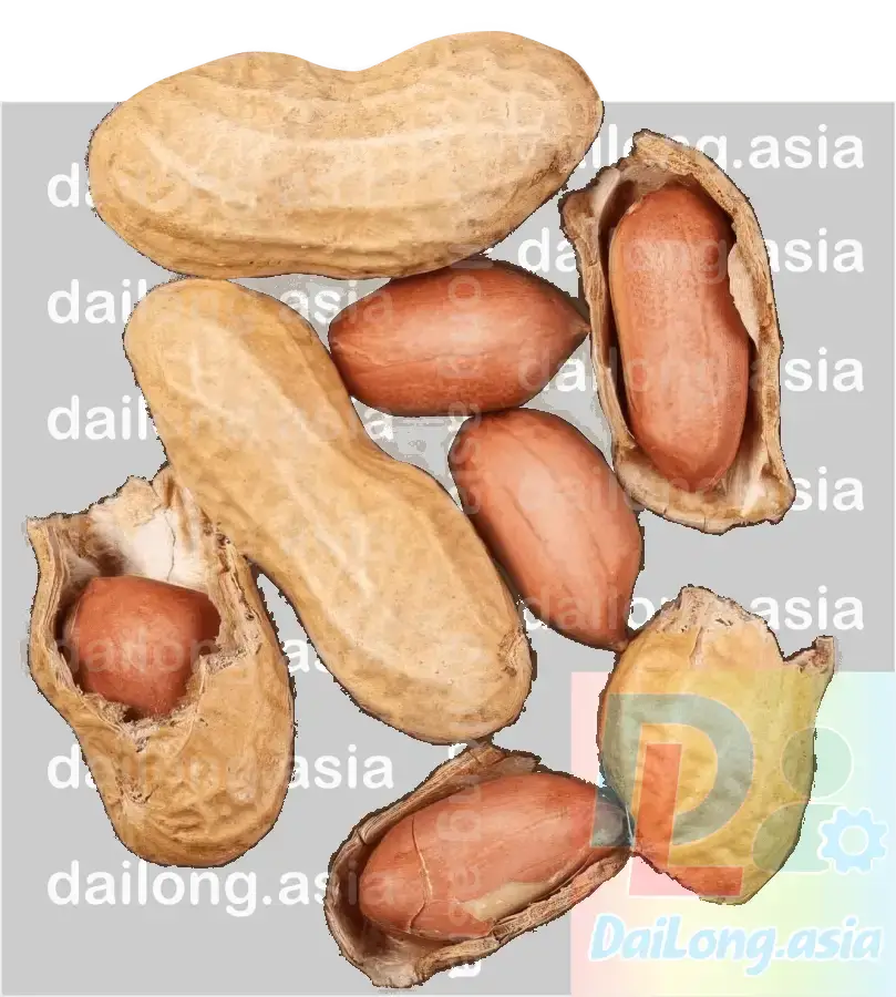 Hạt Lạc Đậu Phộng Ép Dầu Lạc PNG - Peanuts Peanut Oil Press