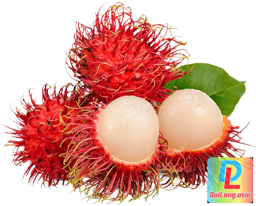 Quả Chôm Chôm PNG - Rambutan
