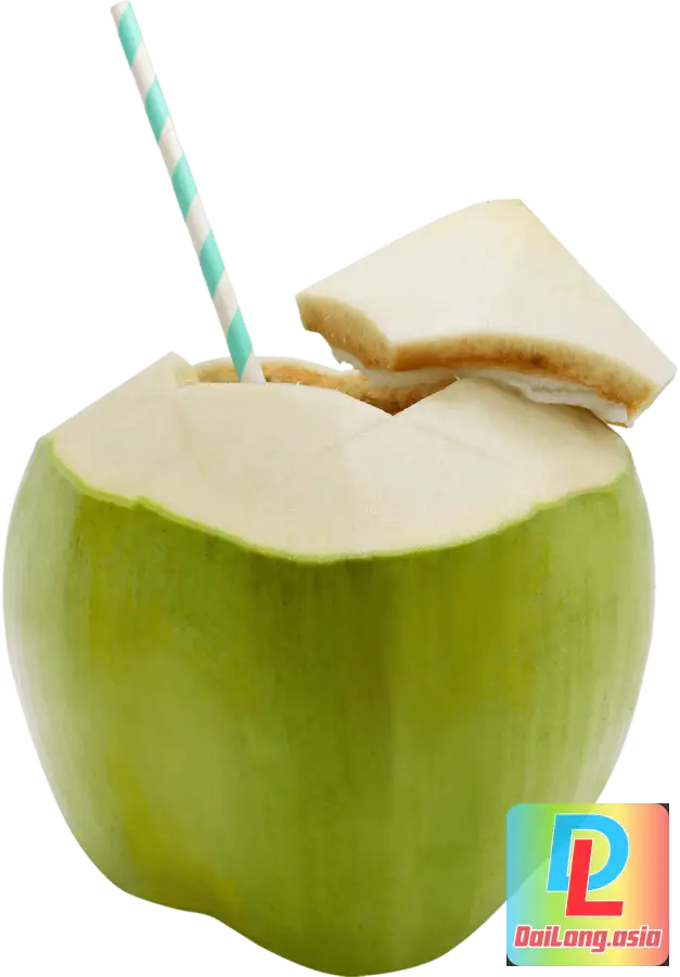 Quả Dừa Tươi Coconut Fruit Fresh PNG For Designer
