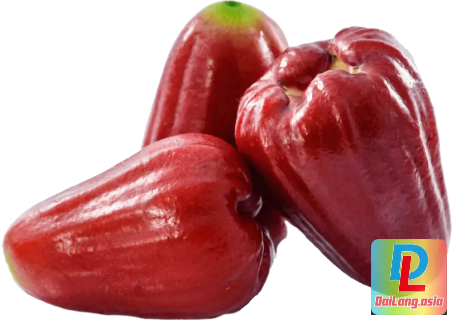 Quả Mận Miền Nam Đỏ Tươi PNG