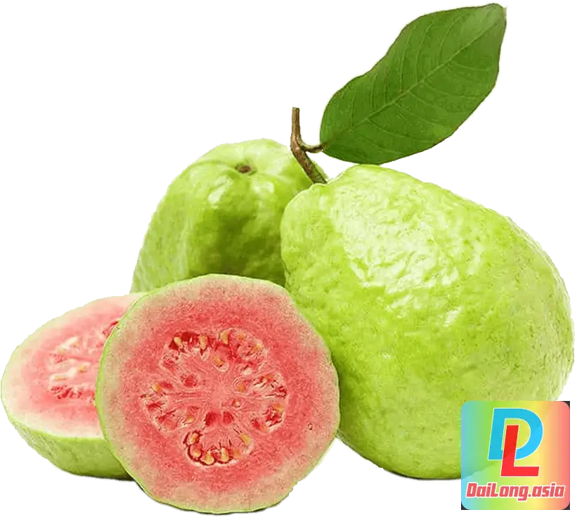 Quả Ổi Đào PNG Guava Fruit Fresh