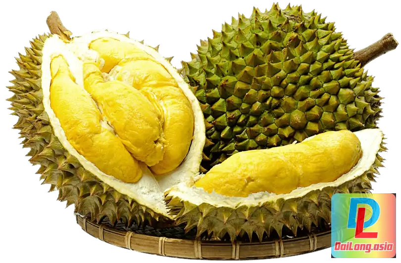 Quả Sầu Riêng - Durian Fruit High Resolution