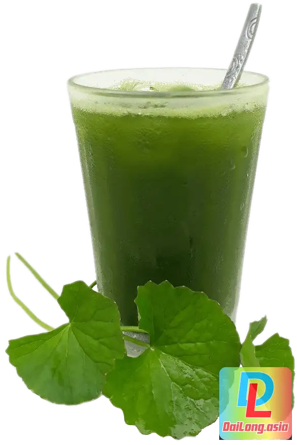 Rau Má Mix PNG - Pennywort Mix